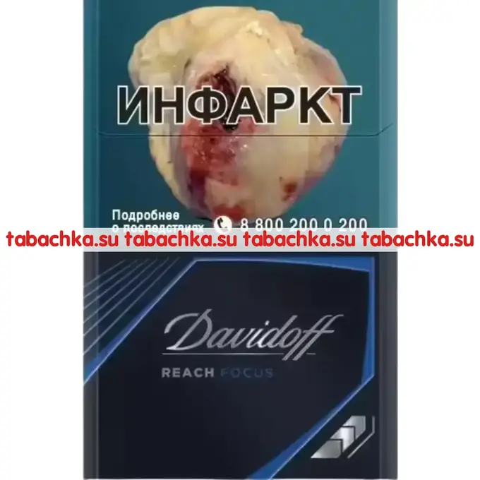 Сигареты Davidoff Reach Focus Black Сигареты Davidoff Reach Focus Black